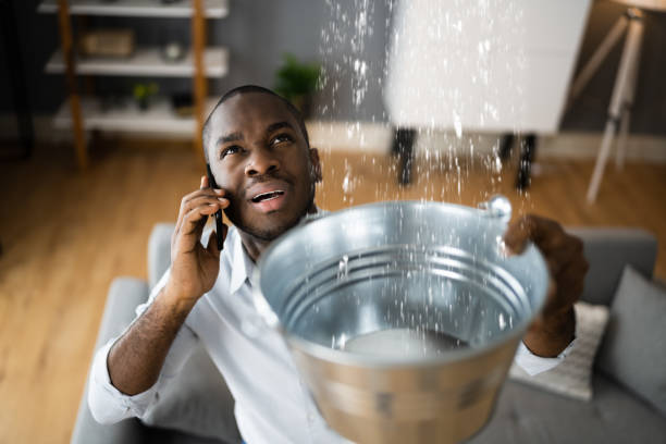 Best Professional water damage repair  in West Lafayette, OH