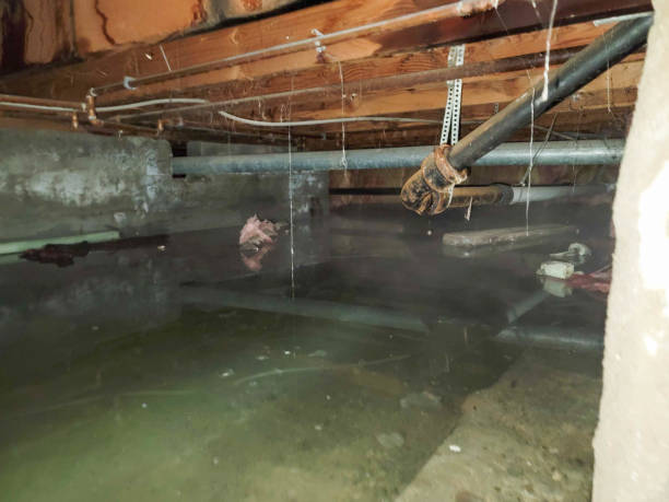 Best Water damage restoration specialists  in West Lafayette, OH