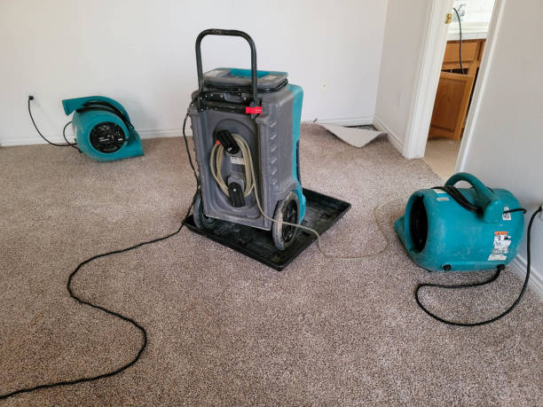 Best Basement water damage restoration  in West Lafayette, OH