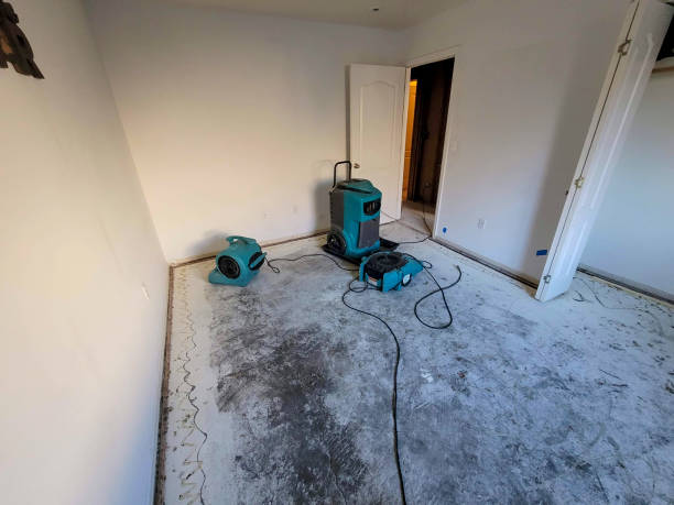 Best Emergency water damage restoration  in West Lafayette, OH