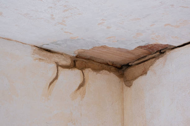  West Lafayette, OH Water damage restoration Pros