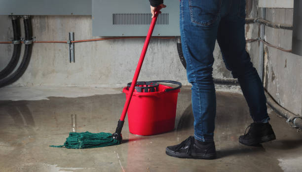 Best Flood restoration services  in West Lafayette, OH
