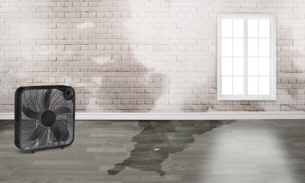 Best Ceiling water damage repair  in West Lafayette, OH