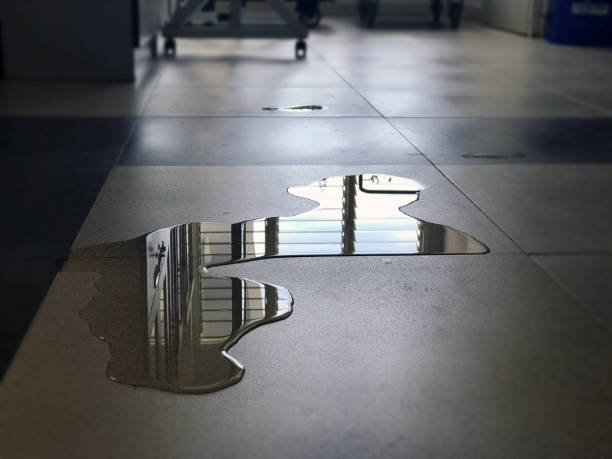Best Water damage restoration services  in West Lafayette, OH