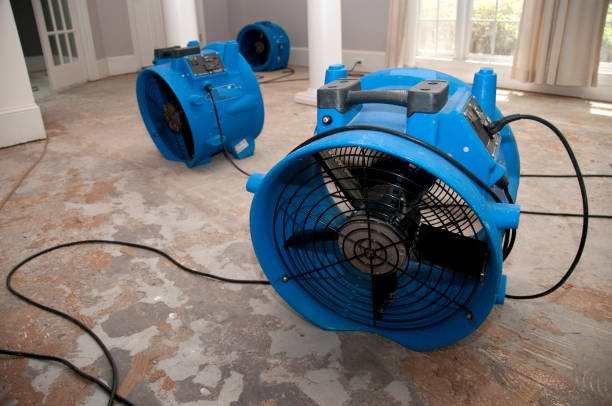Best Water damage mitigation services  in West Lafayette, OH