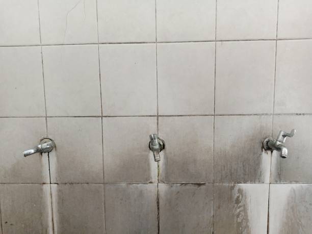 Best Commercial water damage restoration  in West Lafayette, OH