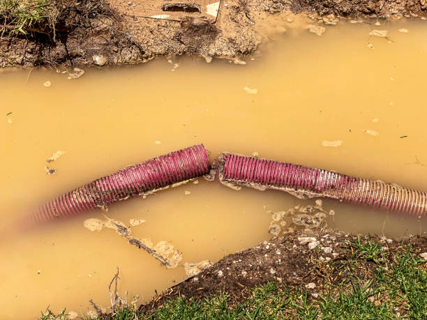 Best Flood damage cleanup  in West Lafayette, OH